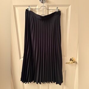 Zara Black A-Line Pleated Skirt